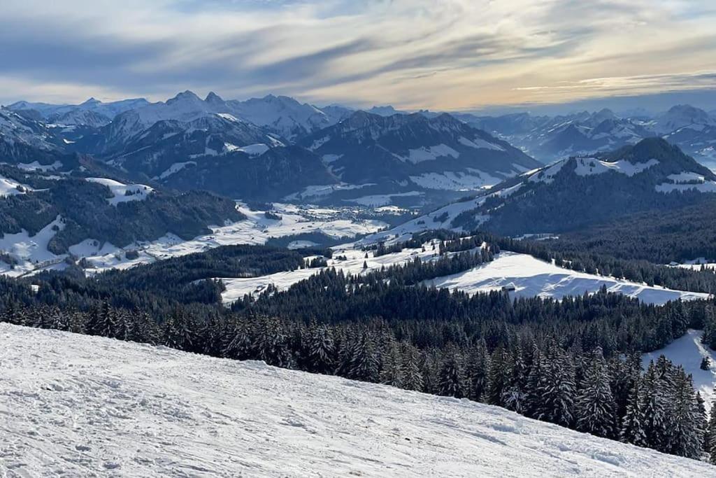 Confortable Chalet Avec Magnifique Vue En Gruyere. Charmey Kültér fotó